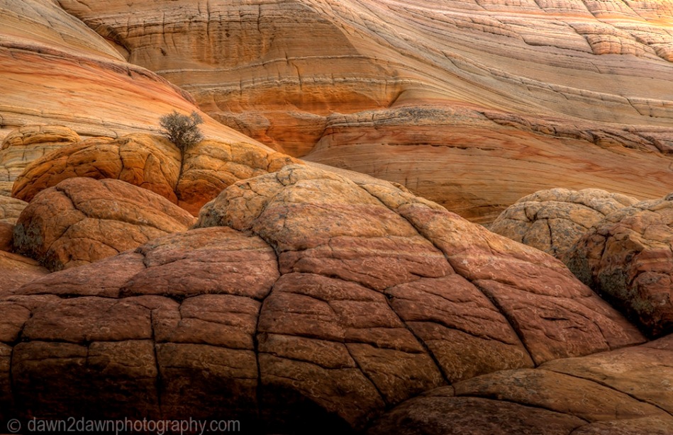 Coyote Buttes The Wave