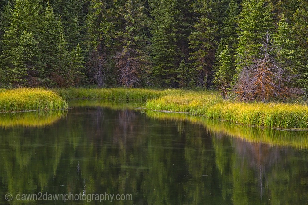 Teton Pond Reflection