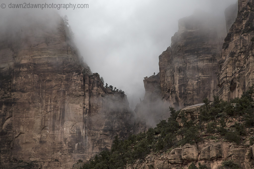 Zion Canyon Fog