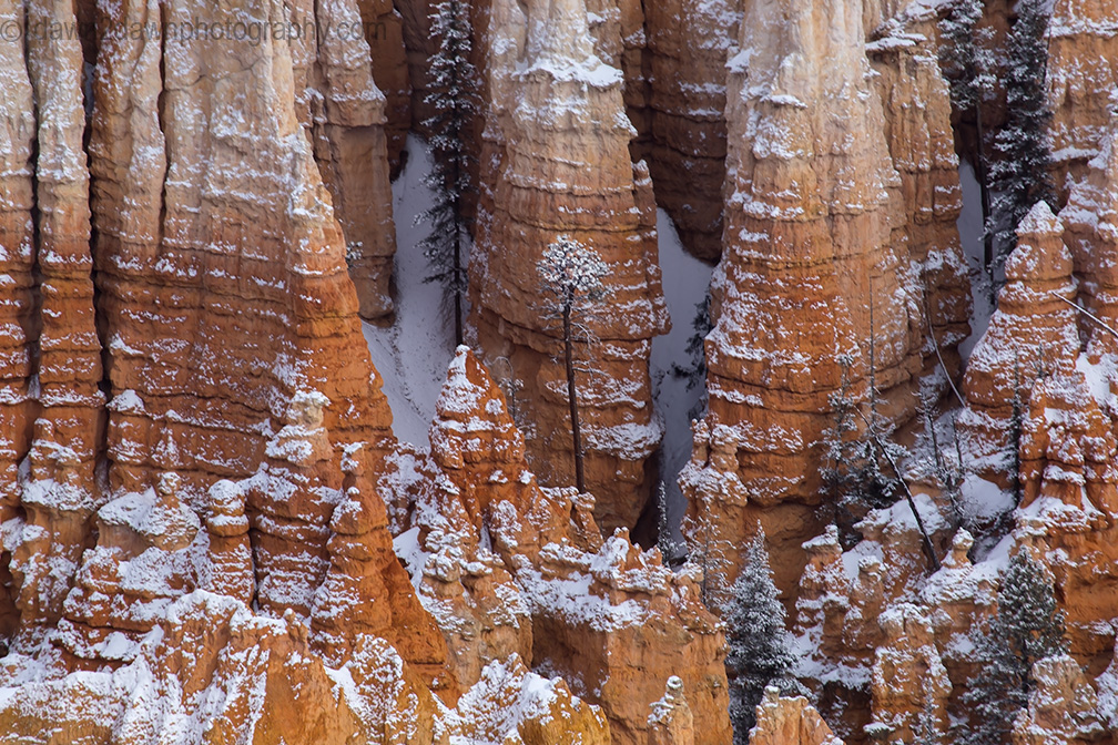 Bryce Canyon Snow