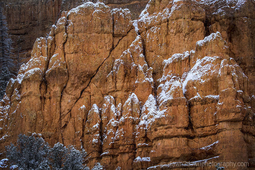 Red Canyon Snow