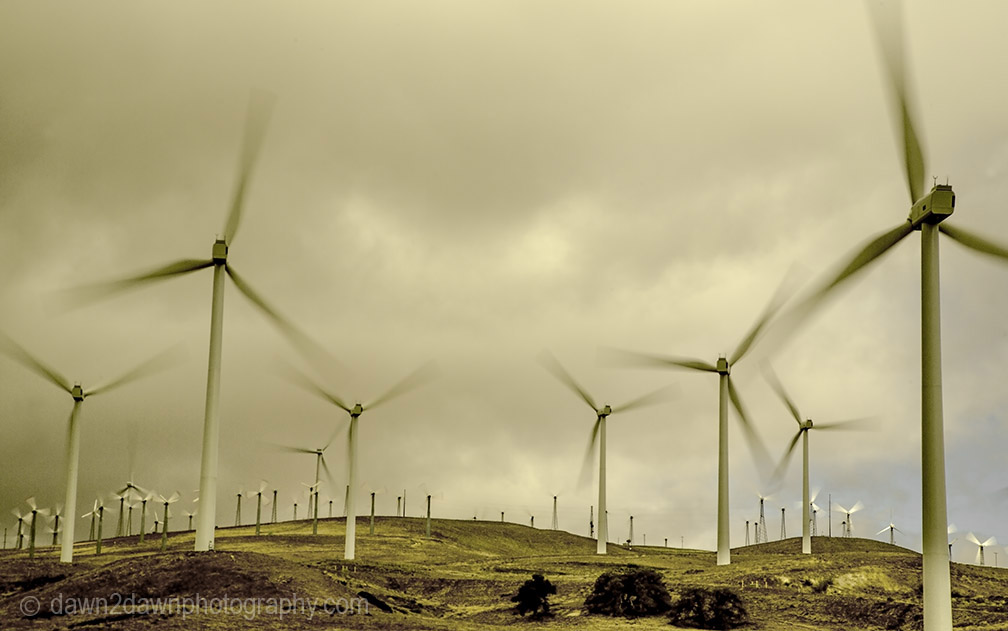 Tehachapi Wind Turbines