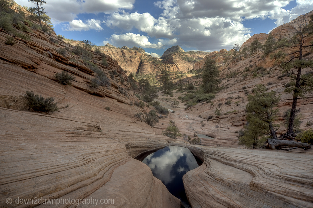 The landscape is reflected in the still waters of the potholes on the Many Pools Trail at Zion National Park, Utah
