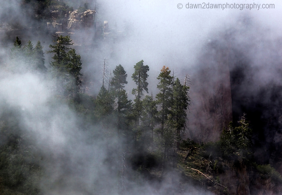 Fog rises from the depths of the Grand Canyon near Cape Royal at Grand Canyon National Park, Arizona