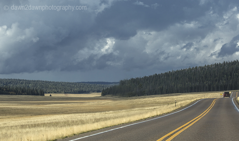 Highway 67 winds its way through open meadows and The Kaibab National Forest on its way to the North Rim of Grand Canyon National Park, Arizona