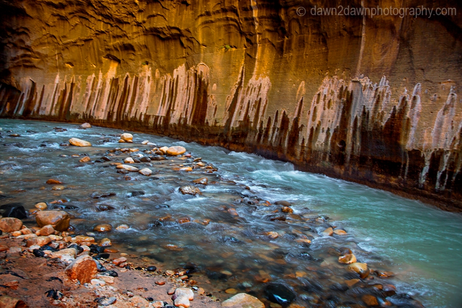 The Virgin River cuts through The Narrows at Zion National Park, Utah
