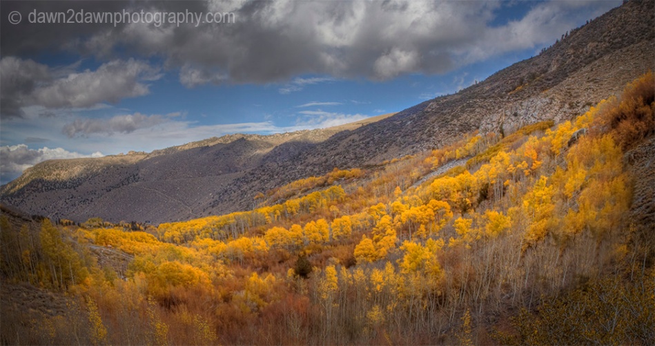 Fall colors have arrived to the Sierra Neveda Mountains adjacent to Owens Valley, California