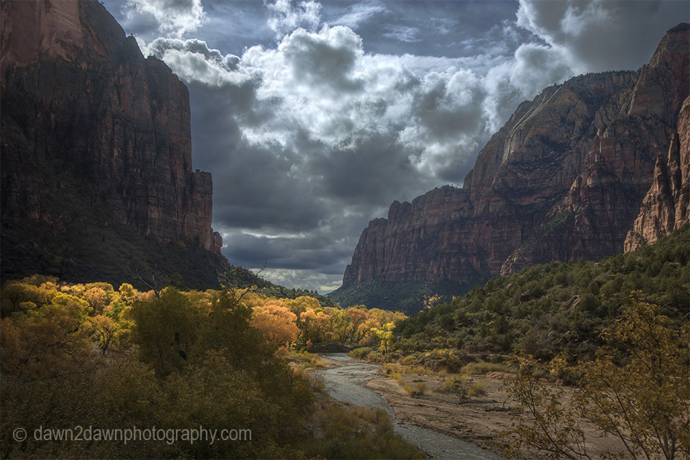 Fall colors have arrived along the Virgin River in Zion Canyon at Zion National Park, Utah