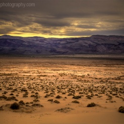 The sagebrush and desert landscape at Eureka Dunes at Death Valley National Park, California