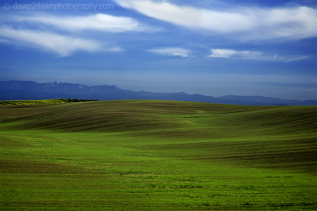Farmland in rural California.