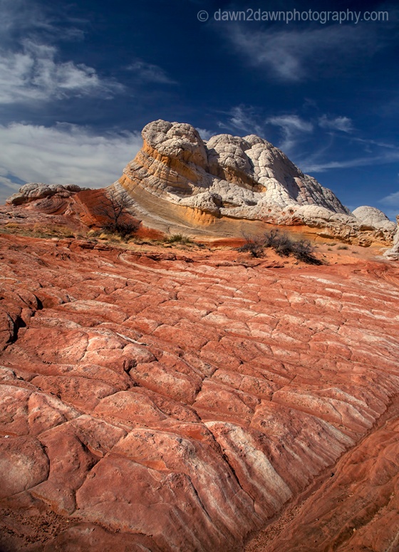 Unusual sandstone shapes produced by erosion make up the landscape at White Pocket at Vermilion Cliffs National Monument, Arizona