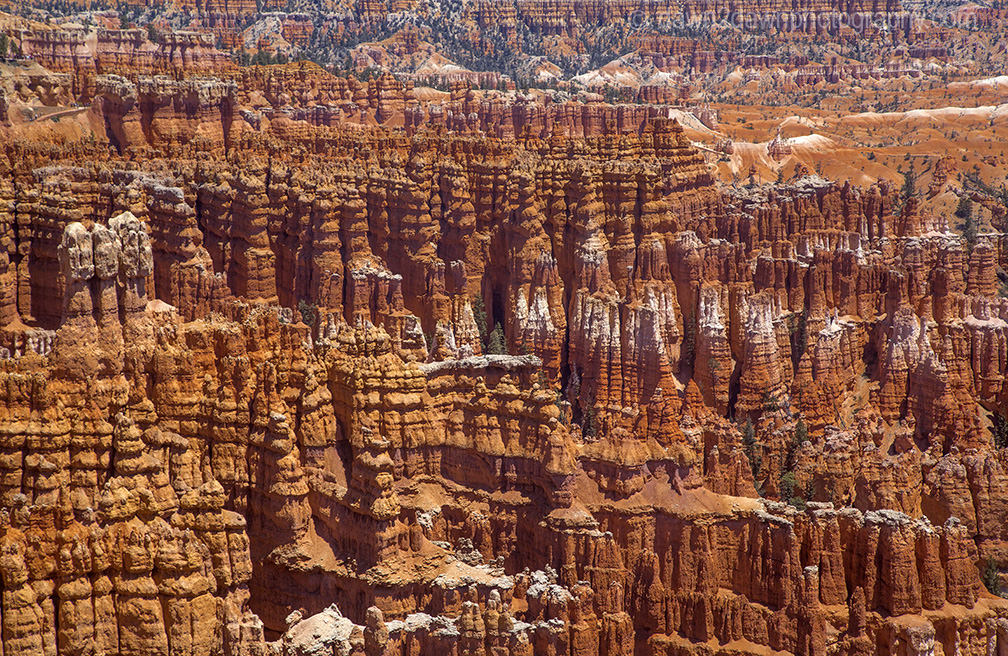 The hoodoos are the predominate feature at Bryce Canyon National Park, Utah
