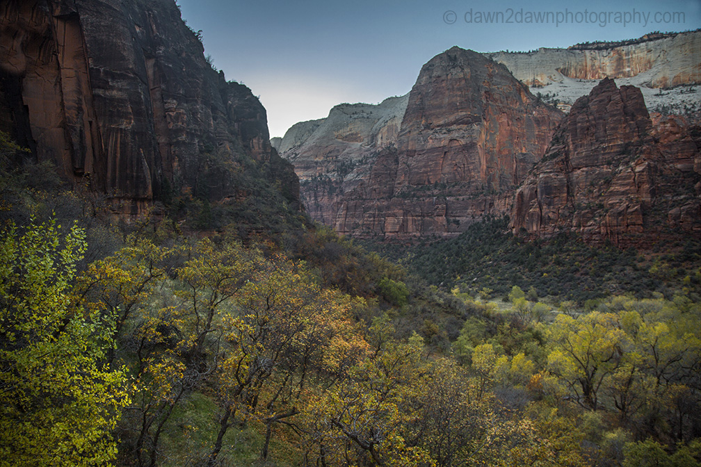 Fall colors have arrived at Zion Canyon at Zion National Park, Utah