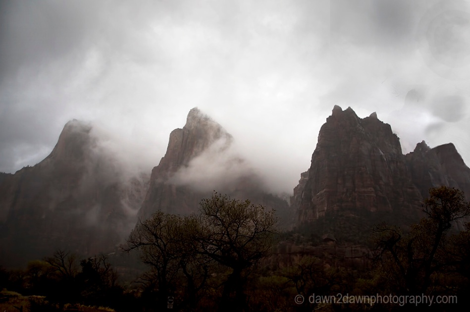 A passing rain storm produces thick clouds and fog at Zion National Park, Utah