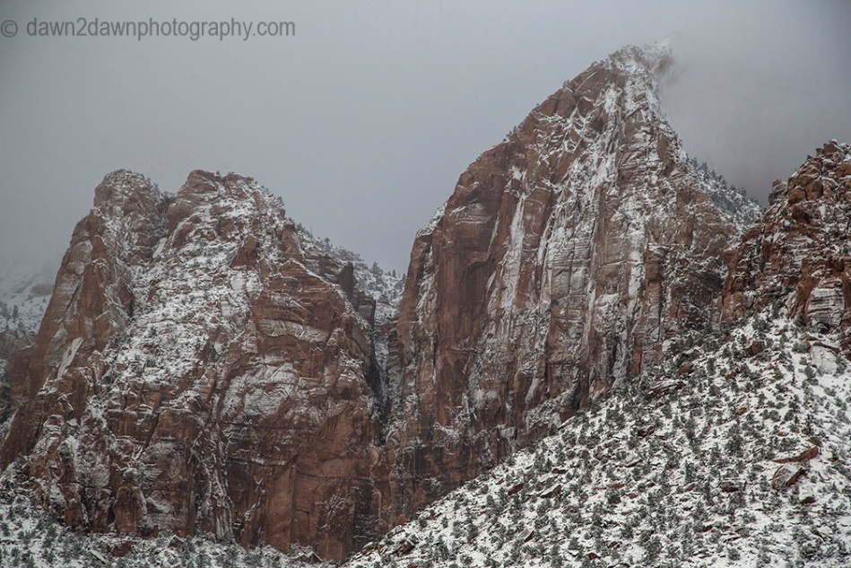 Fresh snow blankets Zion National Park on Christmas morning.