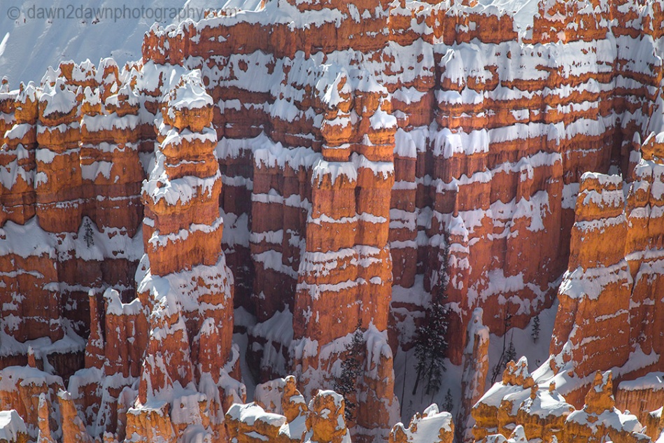 Fresh snow blankets Bryce Canyon National Park, Utah