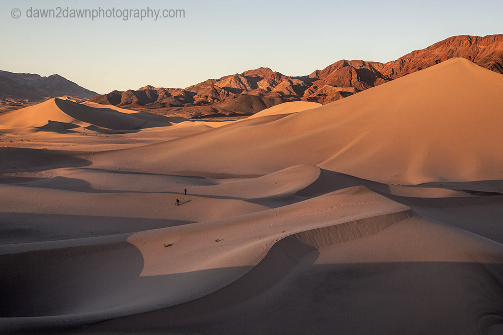 Some More Sand Dune Pics!