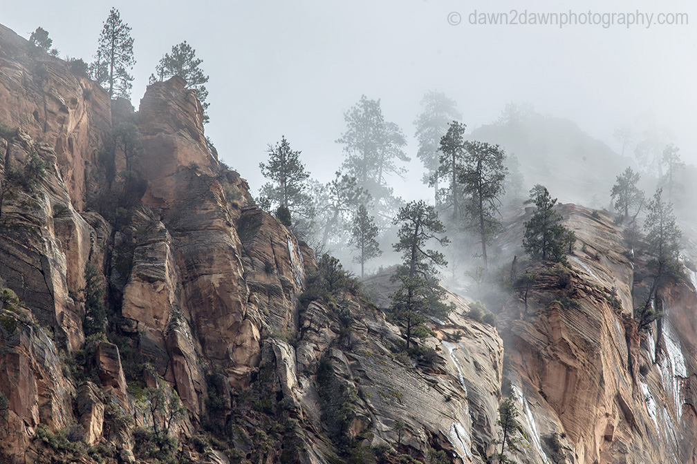 Stormy Zion National Park